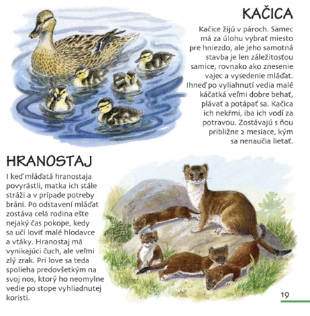Zvieratká v 4 ročných obdobiach (SK vydanie)
