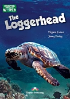 Discover Readers - The Loggerhead - Reader with Multi-ROM Pal